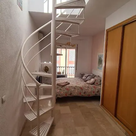 Penthouse With Solarium In The Center Of Malaga-Atico Con Solarium En El Centro De Malaga Apartment Exterior photo